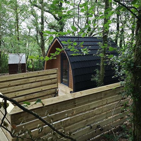 The Pod-Hot Tub-Woodland Lodges-St Clears-คาร์มาเทน ภายนอก รูปภาพ